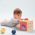 צעצועי התפתחות לתינוק | צעצועים לתינוק סגל בייבי טף טויס