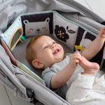 צעצועי התפתחות לתינוק באתר סגל בייבי צעצועים התפתחותיים טף טויס