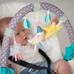 צעצועים לתינוקות באתר סגל | משטחי פעילות לתינוק סגל בייבי טף טויס